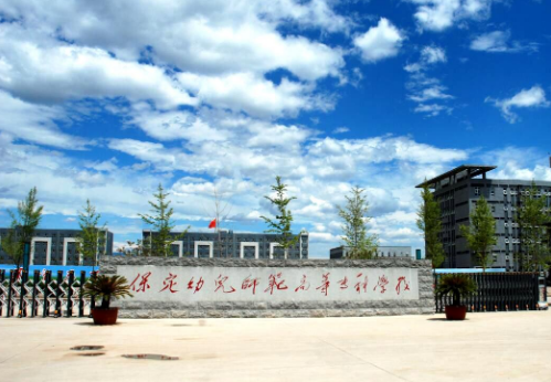 保定幼儿师范高等专科学校.png