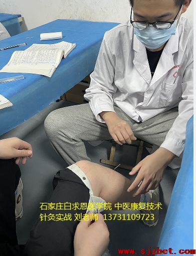 石家庄白求恩医学院针灸推拿课程.png