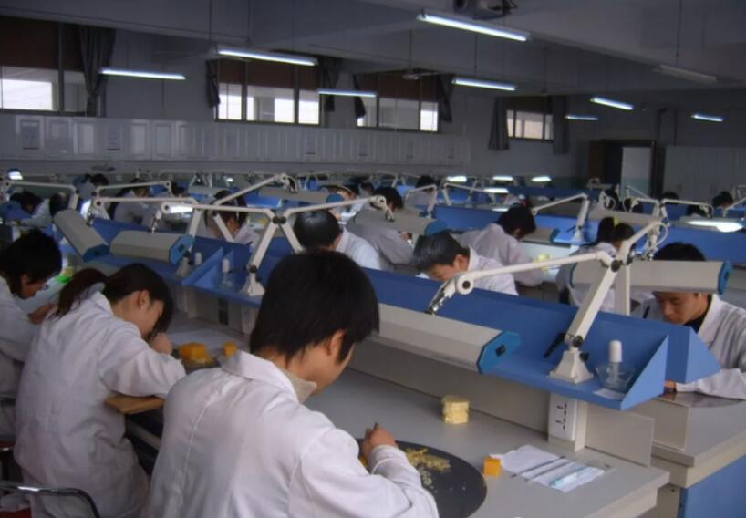 初中毕业学口腔修复工艺专业就业前景怎么样？-石家庄白求恩医学院