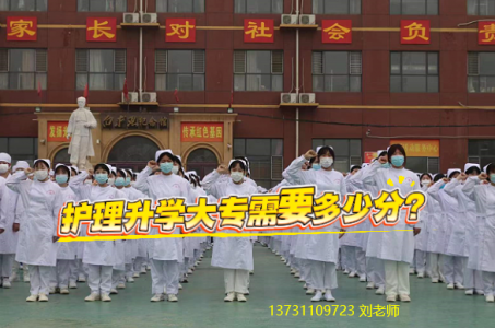 石家庄白求恩医学中等专业学校升学护理大专需要多少分？