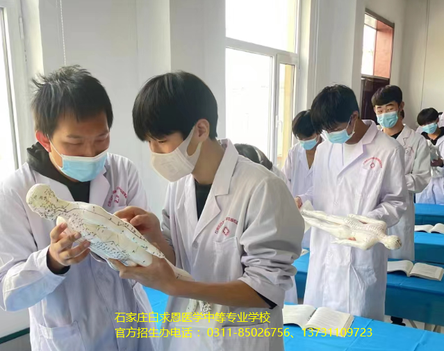 2026年必看|石家庄白求恩医学中等专业学校招生计划公布